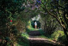 The garden of delights…