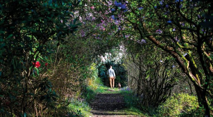 The garden of delights…