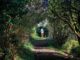 The garden of delights…