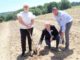 Entrepreneur Penny Streeter to Introduce First English Sparkling Wine Pinotage Vineyard